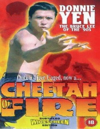 Cheetah On Fire 1992 Hindi ORG Dual Audio Movie DD 2.0 720p 480p BluRay x264