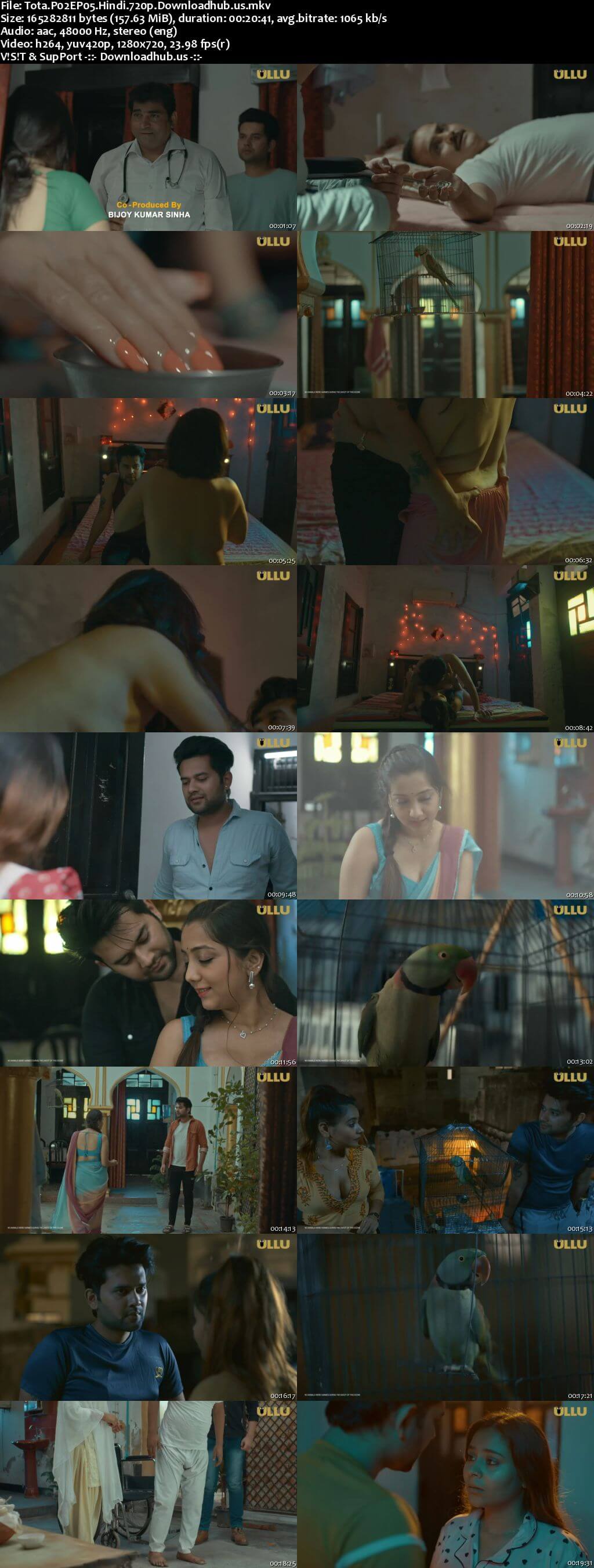 Tota 2024 Hindi Part 02 ULLU WEB Series 720p HDRip x264