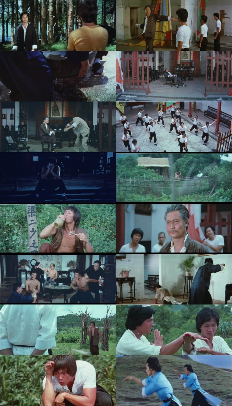 Snake in Monkey’s Shadow 1979 Hindi ORG Dual Audio Movie DD2.0 1080p 720p 480p BluRay ESubs x264 HEVC