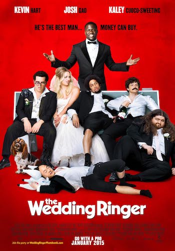 The Wedding Ringer 2015 Dual Audio Hindi Full Movie Download