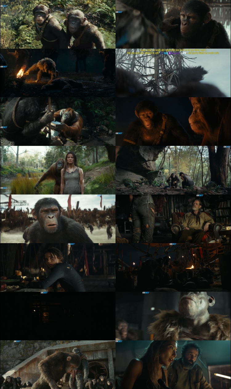 Kingdom of the Planet of the Apes 2024 Hindi ORG Dual Audio Movie DD5.1 1080p 720p 480p Web-DL ESubs x264 HEVC