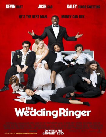 The Wedding Ringer 2015 Hindi ORG Dual Audio Movie DD 2.0 720p 480p BluRay x264