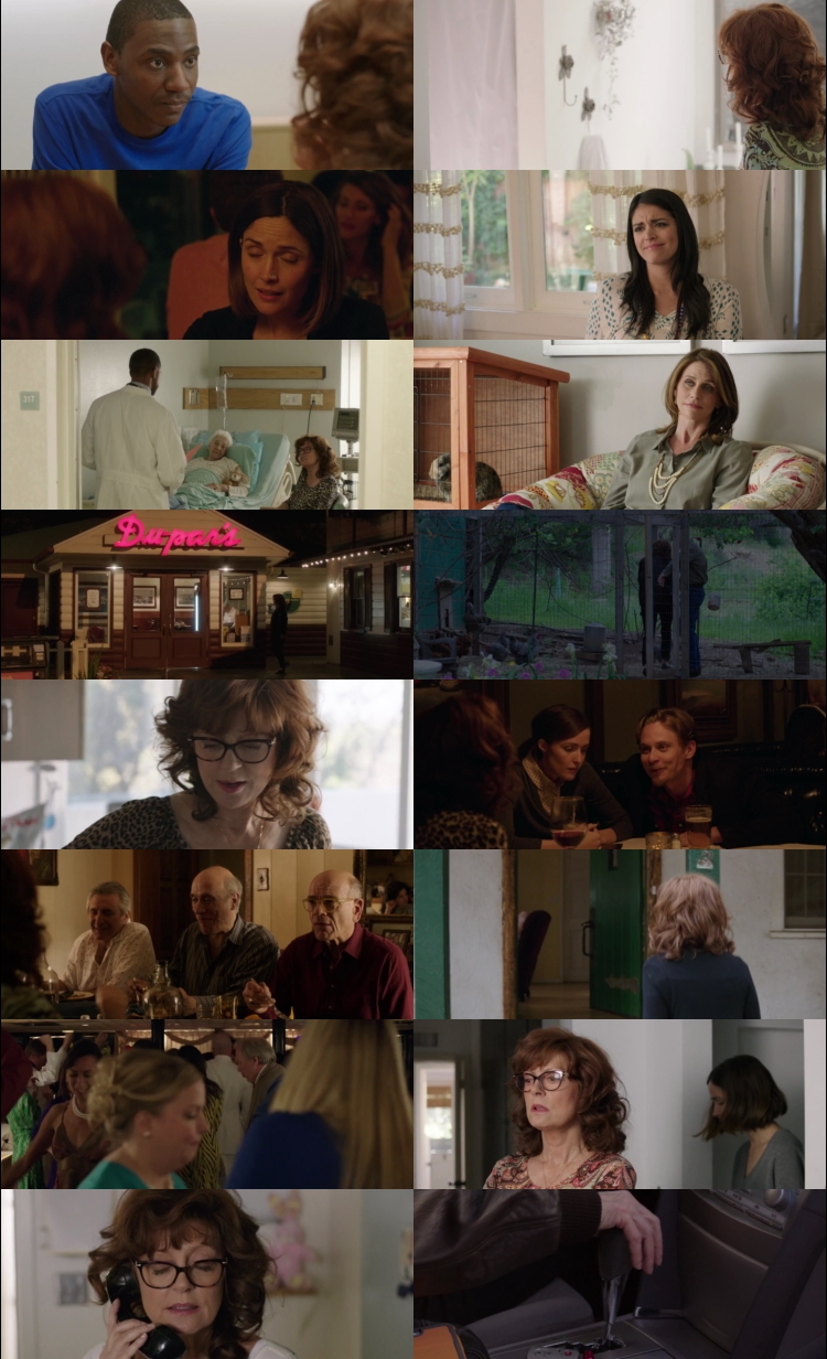 The Meddler 2015 Hindi ORG Dual Audio Movie DD2.0 1080p 720p 480p BluRay ESubs x264 HEVC