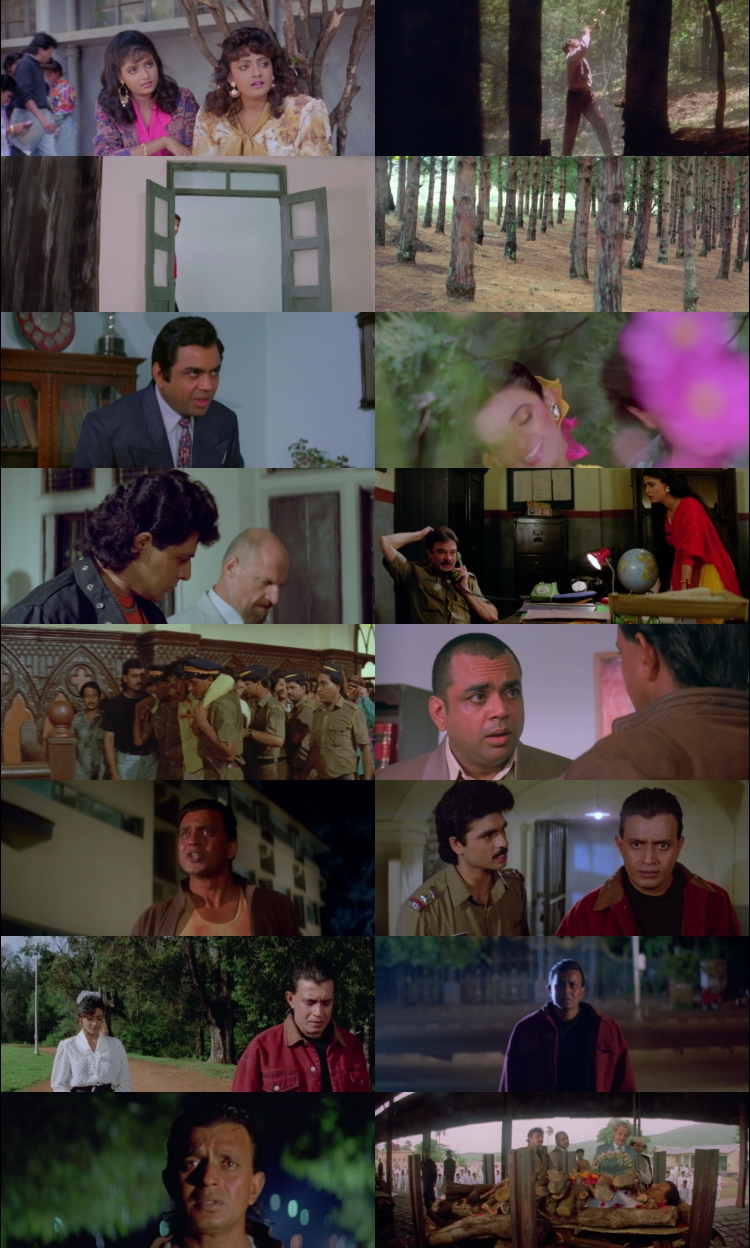 Phool Aur Angaar 1993 Hindi Movie DD2.0 1080p 720p 480p HDRip ESubs x264 