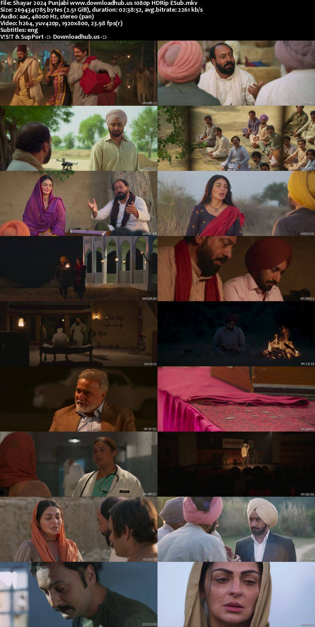 Shayar 2024 Punjabi Movie 1080p 720p 480p HDRip ESubs HEVC