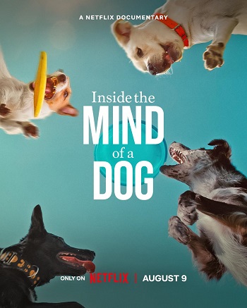 Inside the Mind of a Dog 2024 Hindi Dual Audio Movie DD5.1 1080p 720p 480p Web-DL ESubs x264 HEVC