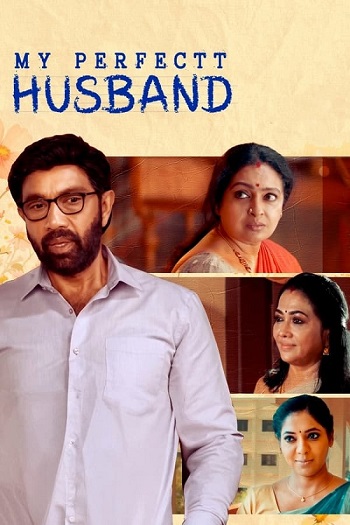 My Perfectt Husband 2024 Full Season 01 Download Hindi In HD