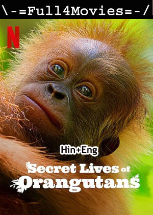 Secret Lives of Orangutans (2024) 1080p | 720p | 480p WEB-HDRip [Hindi + English (DD5.1)]