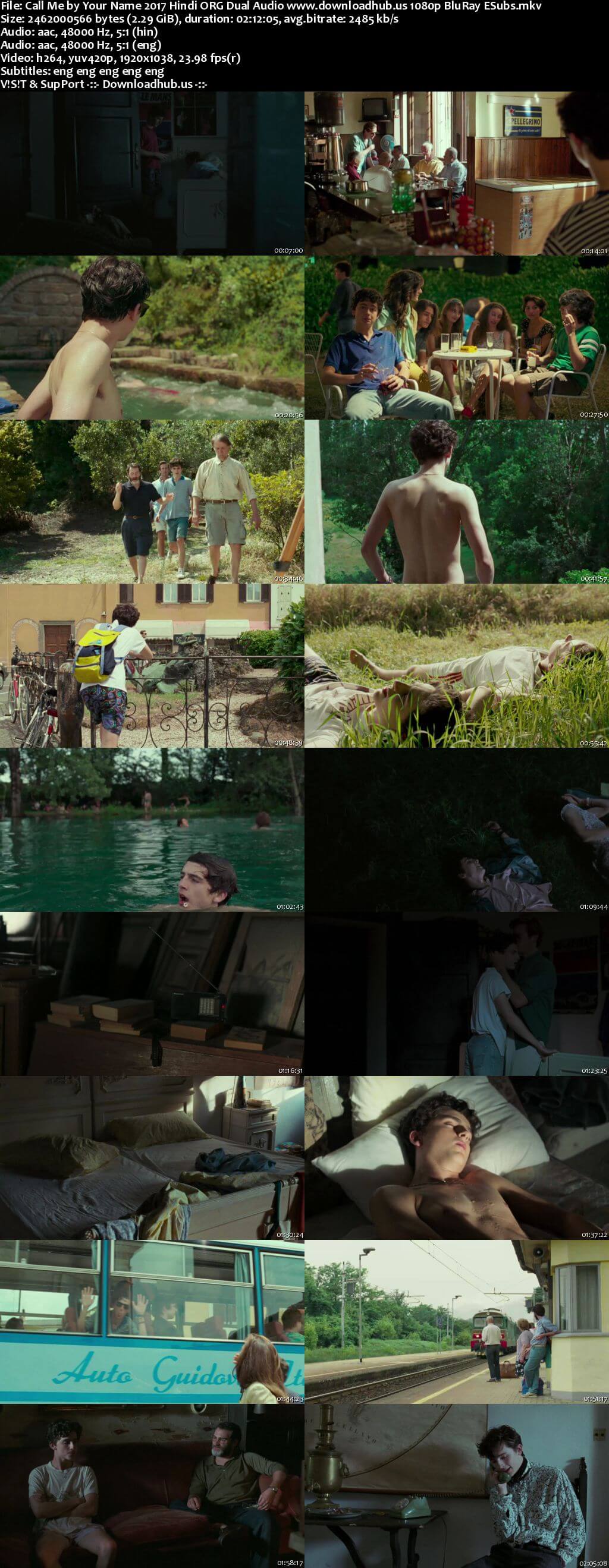 Call Me by Your Name 2017 Hindi ORG Dual Audio Movie DD5.1 1080p 720p 480p BluRay ESubs x264 HEVC