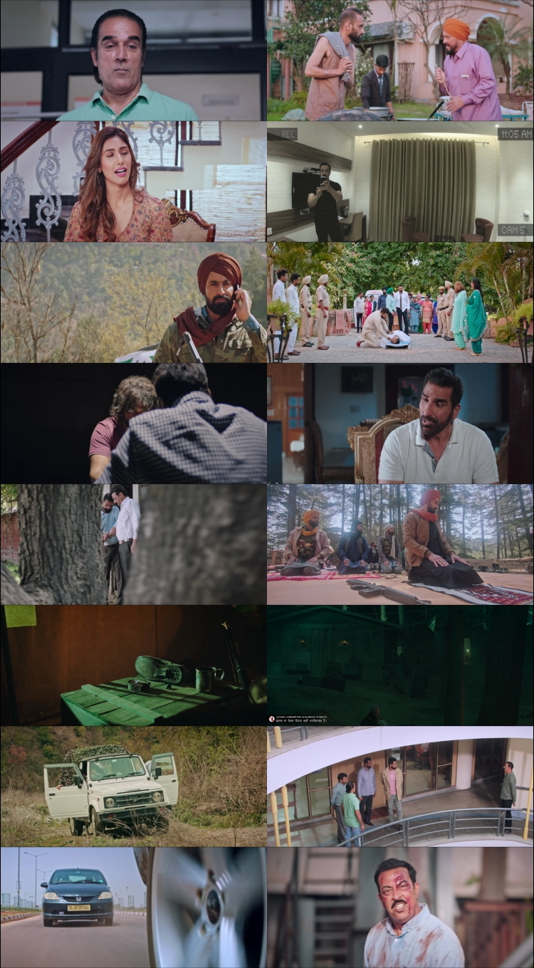 Nidarr 2023 Punjabi Movie 4k 1080p 720p 480p HDRip ESubs HEVC