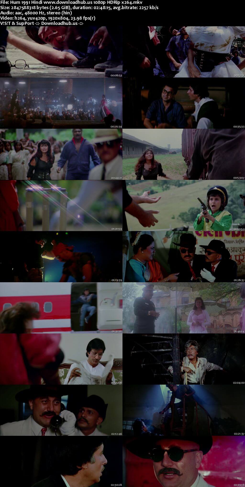 Hum 1991 Hindi Movie DD2.0 1080p 720p 480p HDRip x264 HEVC