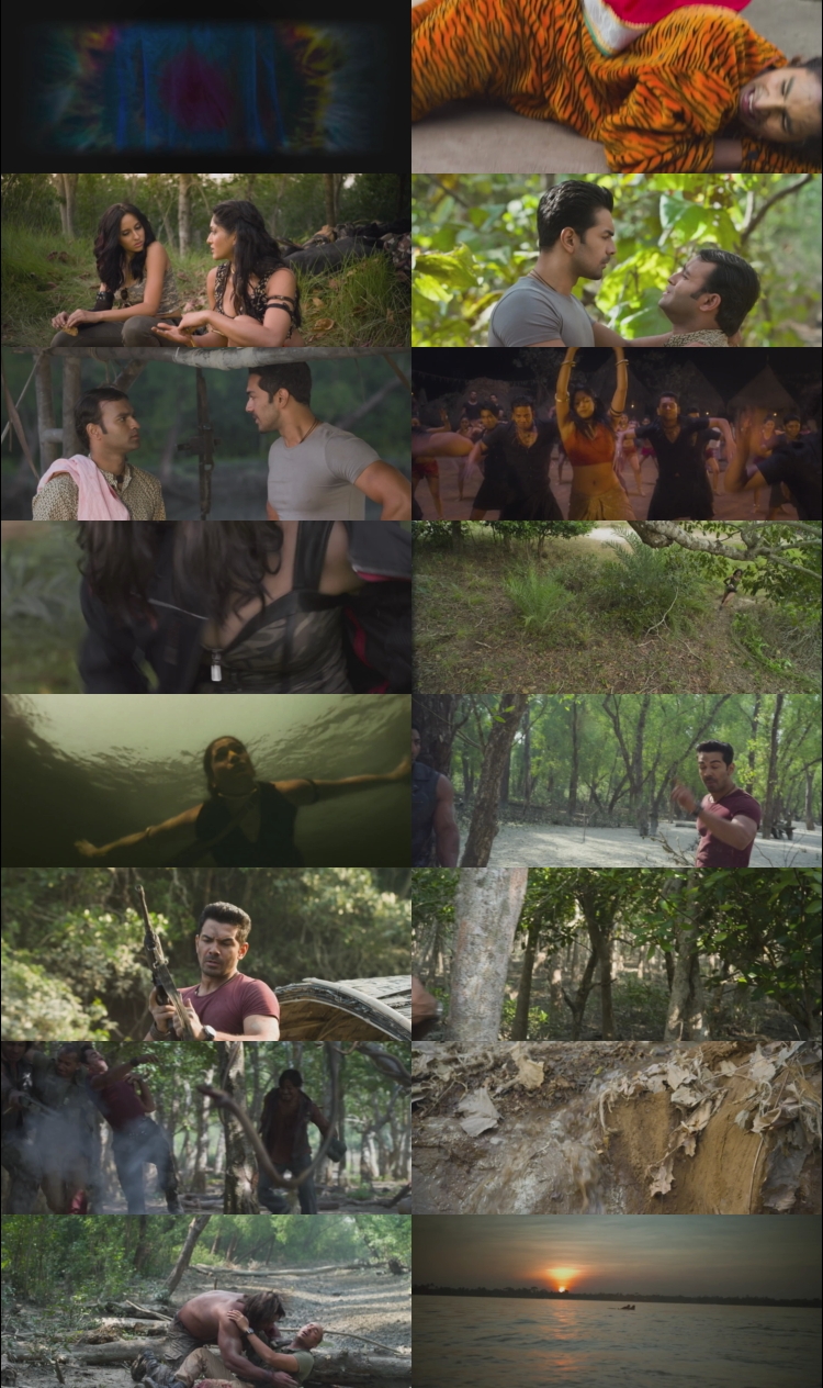 Roar 2014 Hindi Movie DD2.0 1080p 720p 480p HDRip ESubs x264 HEVC