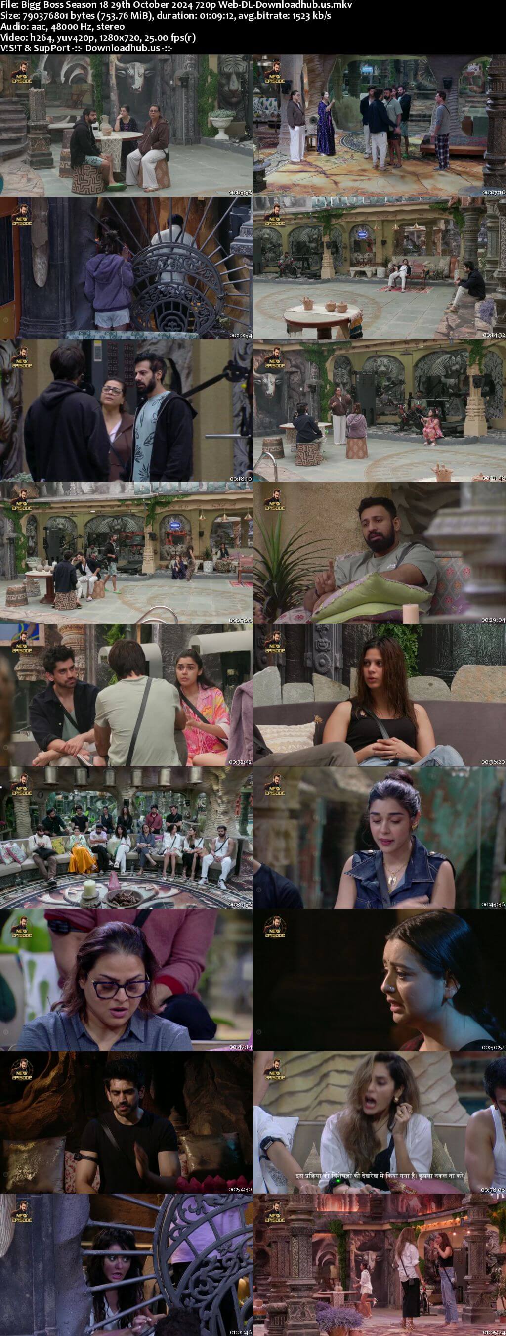 Bigg Boss Season 18 29 October 2024 Episode 24 Web-DL 720p 480p