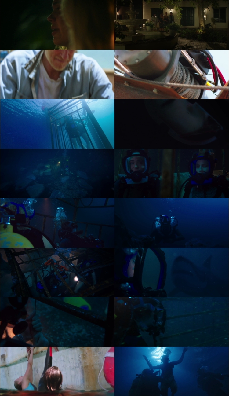 47 Meters Down 2017 Hindi ORG Dual Audio Movie DD5.1 1080p 720p 480p BluRay ESubs x264 HEVC