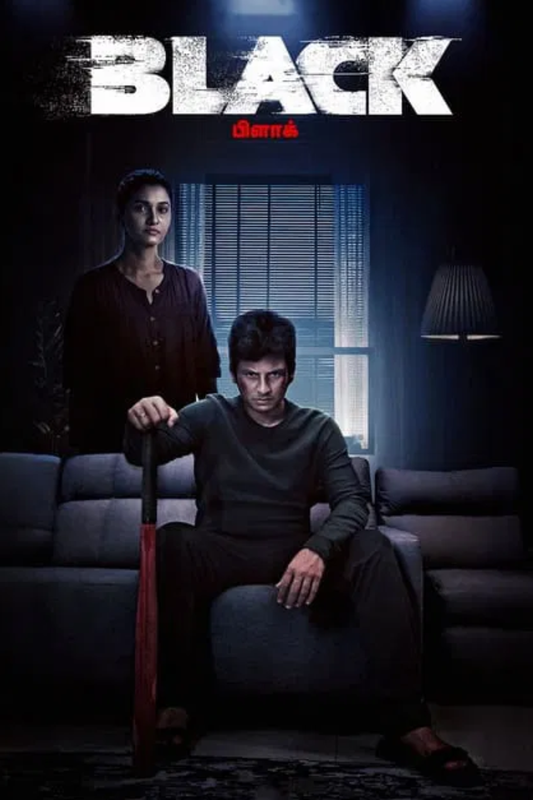 Black 2024 Hindi HQ Dub Movie DD2.0 1080p 720p 480p HDRip ESubs x264 HEVC