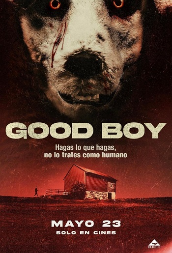 Good boy 2022 Hindi Movie DD2.0 1080p 720p 480p HDRip ESubs x264 HEVC