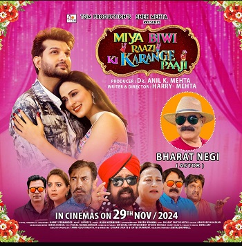 Miya Biwi Raazi Ki Karange Paaji 2024 Punjabi Movie 1080p 720p 480p Pre-DVDRip x264