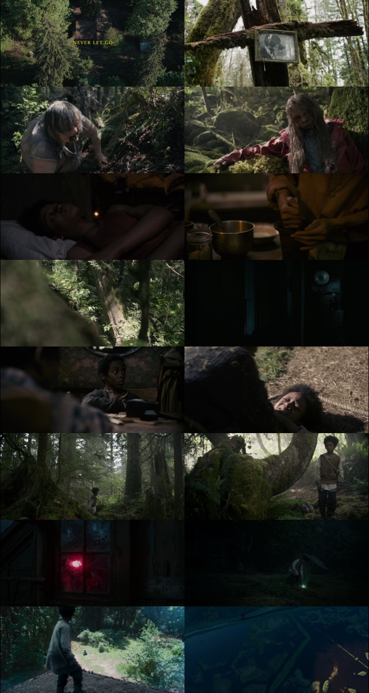 Never Let Go (2024) 1080p | 720p | 480p Web-HDRip [Hindi (हिन्दी) + English] DD5.1 ESub