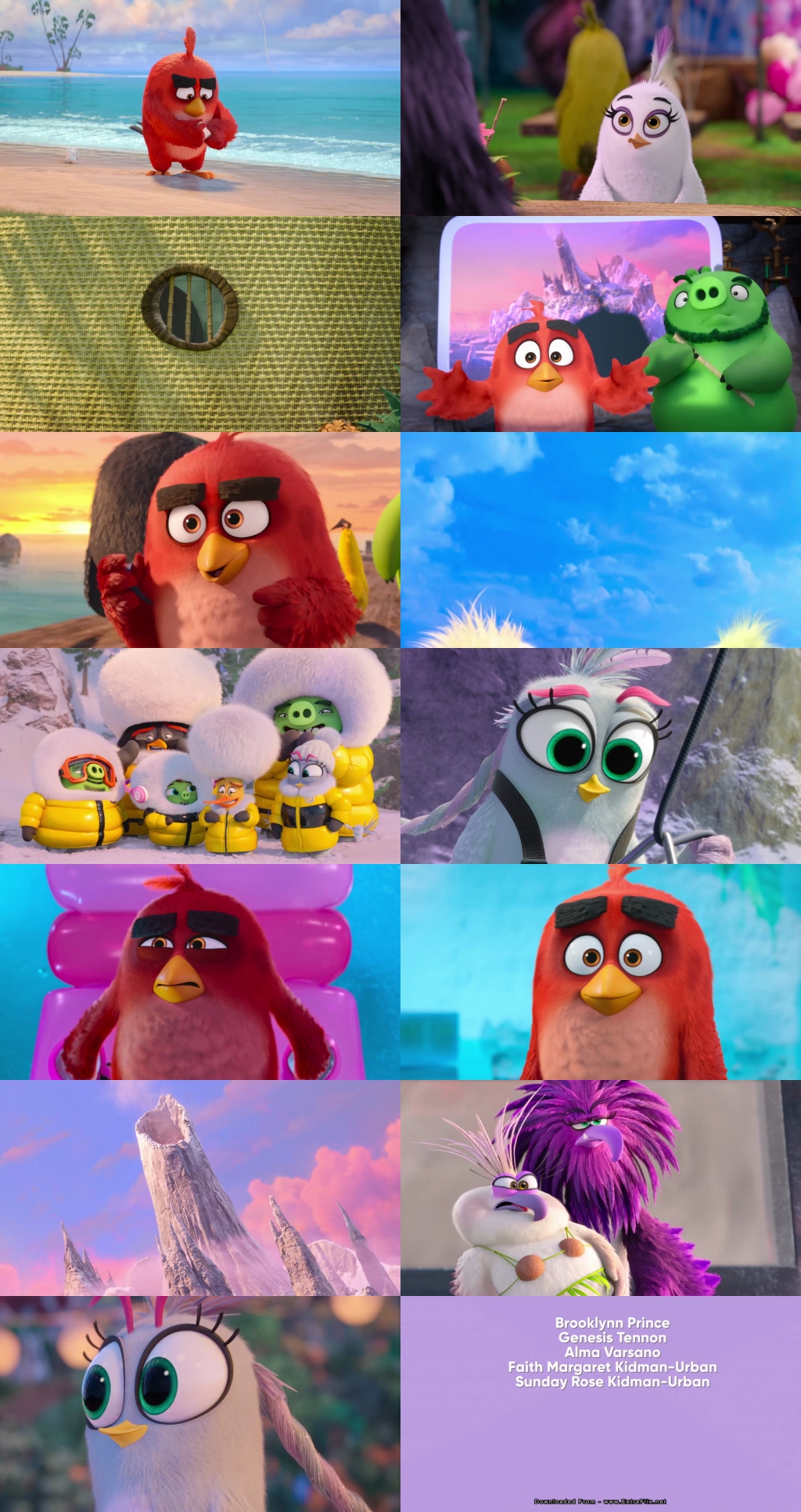 The Angry Birds Movie 2 (2019) 1080p | 720p | 480p BluRay [Hindi (हिन्दी) + English] DD5.1 ESub