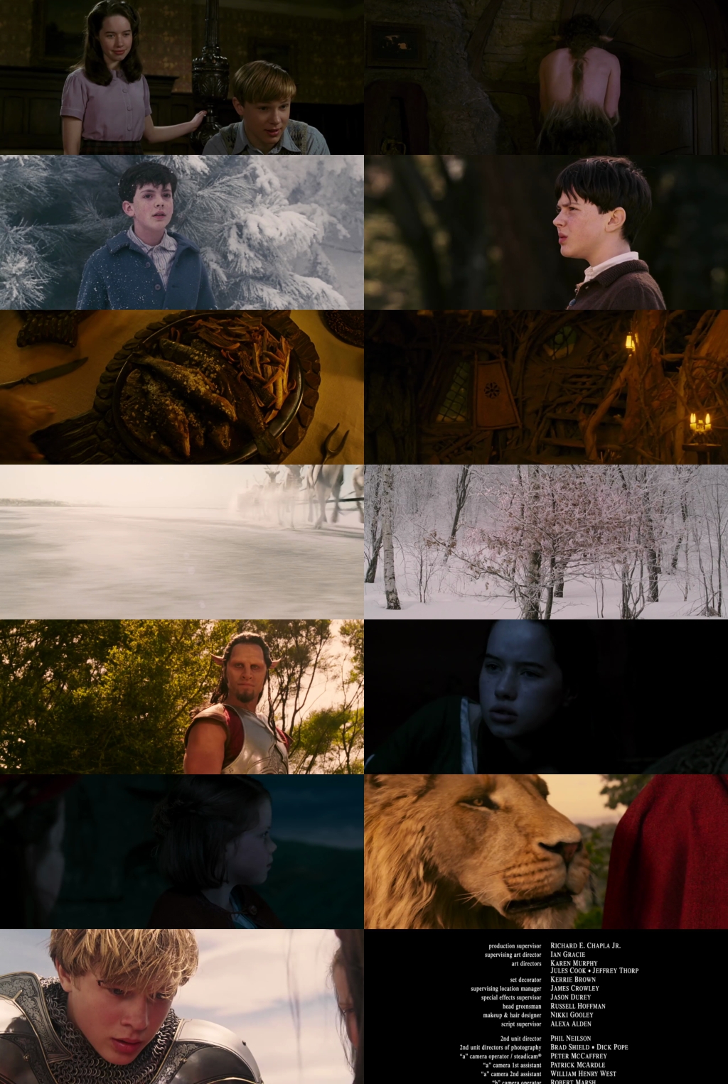 The Chronicles of Narnia: The Lion, the Witch and the Wardrobe (2005) 1080p | 720p | 480p BluRay [Hindi (हिन्दी) + English] DD5.1 ESub