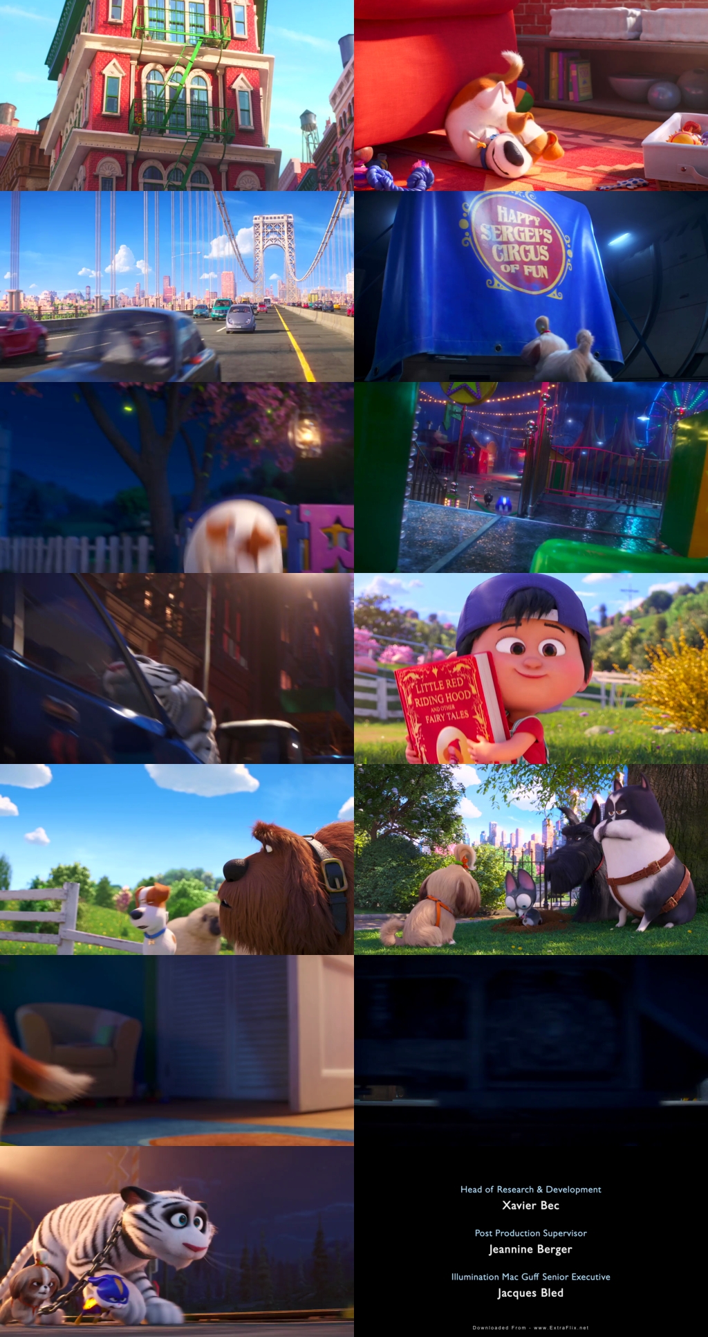 The Secret Life of Pets 2 (2019) 1080p | 720p | 480p BluRay [Hindi (हिन्दी) + English] DD5.1 ESub