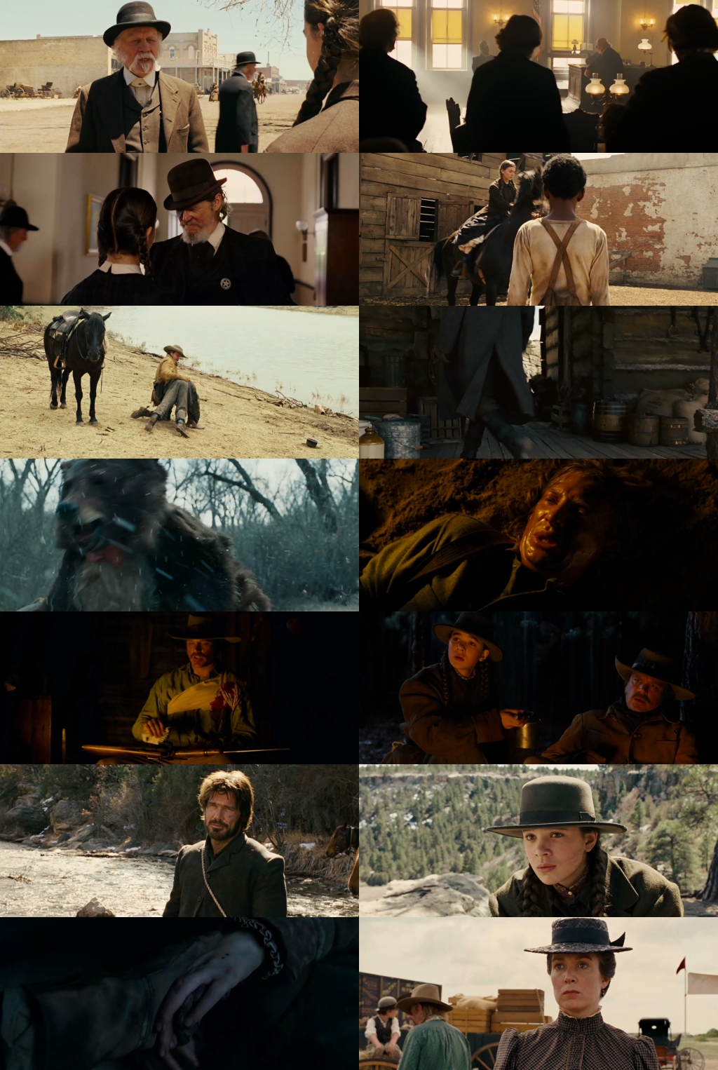 True Grit (2010) 1080p | 720p | 480p BluRay [Hindi (हिन्दी) + English] DD5.1 ESub