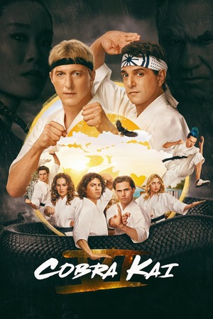 Cobra Kai – Season 6 Part 3 (2025) WEB-HDRip [EP 11 to 15] [Hindi (DDP5.1) + Dual Audio]