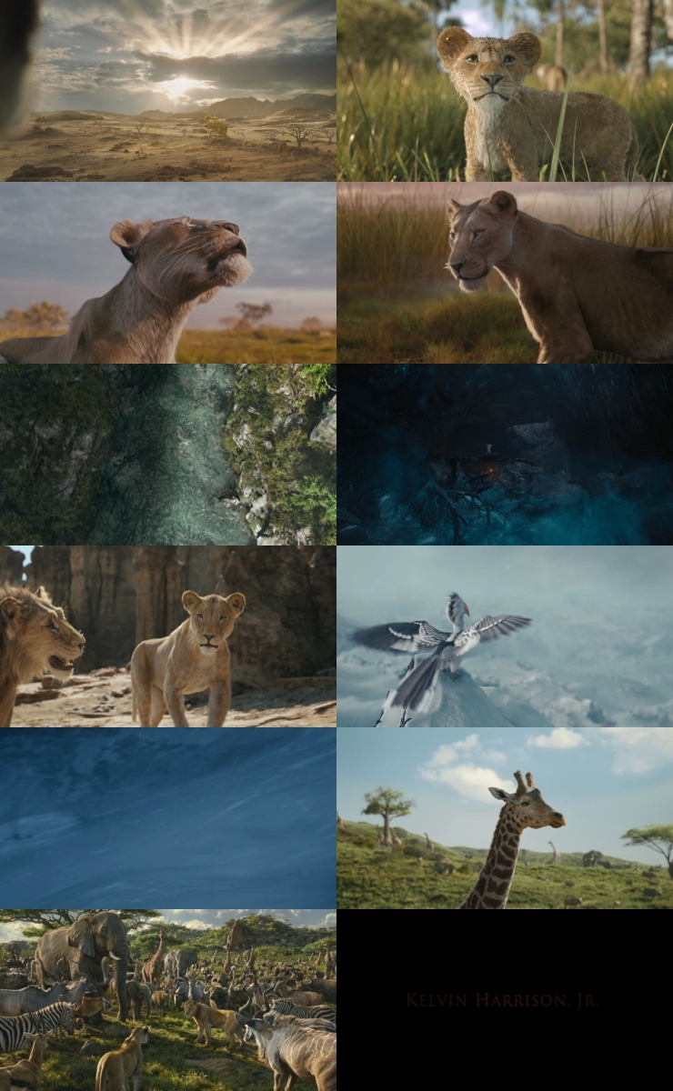 Mufasa The Lion King (2024) 1080p | 720p | 480p WEB-HDRip [Hindi + English (DD5.1)]