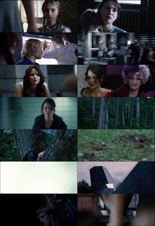 The.Hunger.Games.2012.BluRay.720p.x264.Hindi.English.AAC.ESub-Extraflix.net.jpg