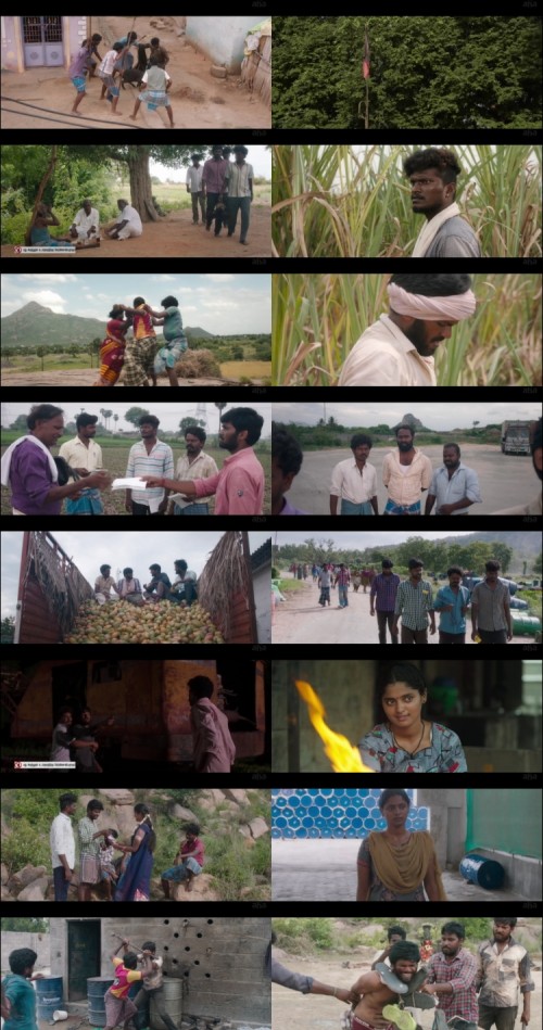 Parari.2024.1080p.WEB.HDRip.Tamil.DD.2.0.x264.Full4Movies_s.jpg