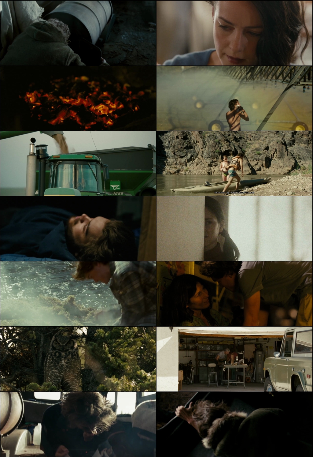 Into the Wild (2007) 1080p | 720p | 480p BluRay [Hindi (हिन्दी) + English] DD5.1 ESub