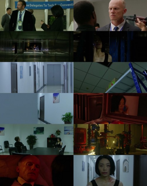 Vixen.2018.720p.WEB.HDRip.Hindi.Dual.DD.2.0.x264.ESubs.Full4Movies_s.jpg