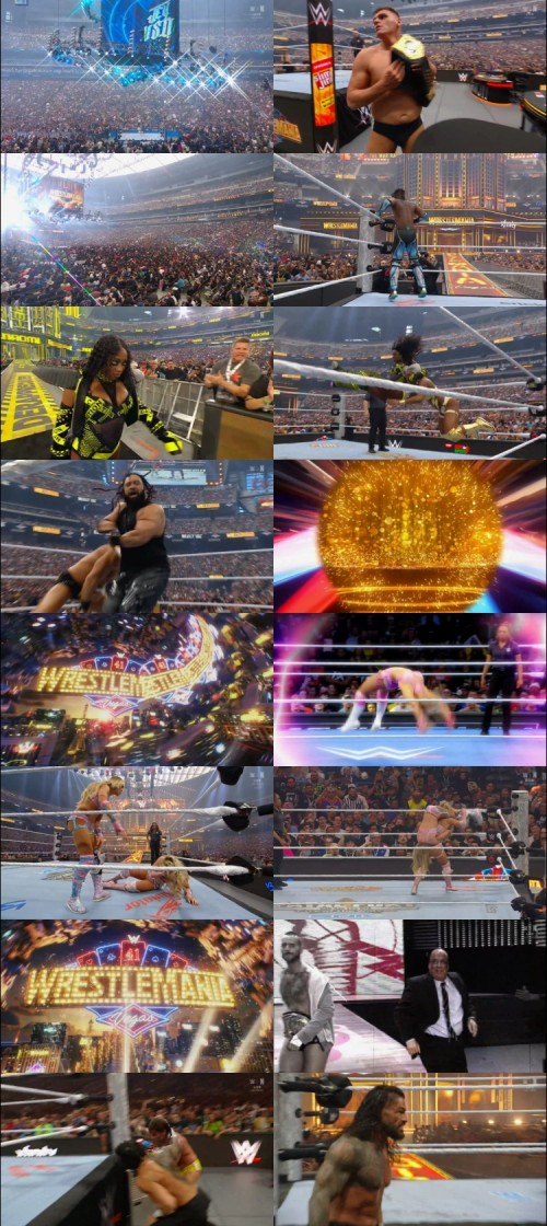 WWE-WrestleMania-41-2025-PPV-Night-01-www.DownloadHub.us-1080p-WEBRip-x264_s.jpg