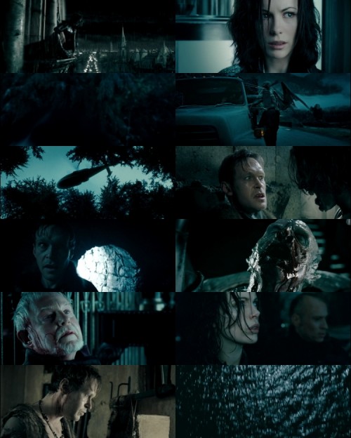 Underworld.2.Evolution.2006.1080p.BluRay.Hindi.English.DD.5.1.x264.ESubs_s.jpg