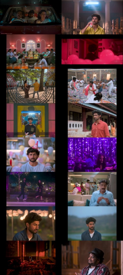 Firefly.2025.1080p.WEB.HDRip.Kannada.DD.5.1.x264.ESubs.www.FiberMovies.com_s.jpg