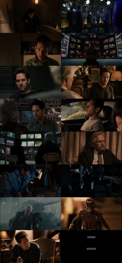 Ant-Man.2015.1080p.BluRay.Hindi.English.DD.5.1.x264.ESubs_s321e188952f24c14.jpg