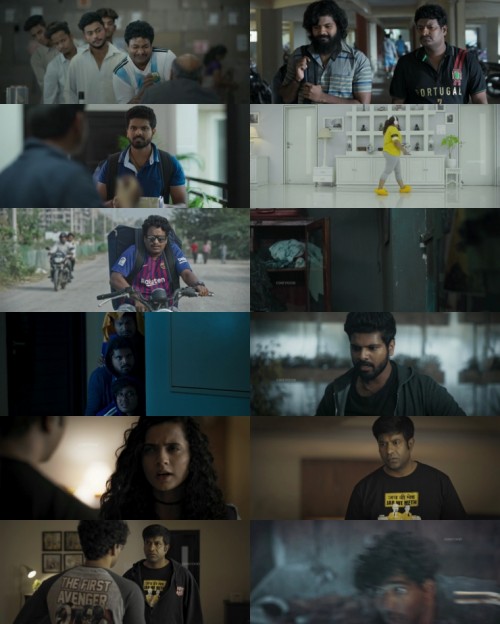 www.FiberMovies.com---Mathu.Vadalara.2019.1080p.WEB.HDRip.Hindi.Studio.DUB.Dual.DD.2.0.x264_s.jpg