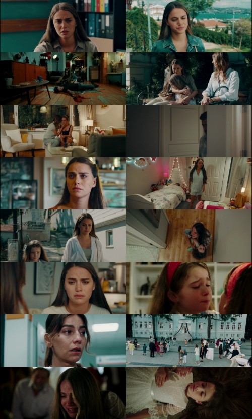 The-Last-Wish-2025-Hindi-Dual-Audio-www.ExtraFlix.TV-1080p-Web-DL-ESubs_s.jpg