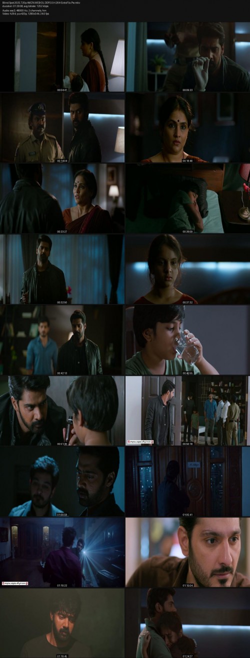 Blind.Spot.2025.720p.AMZN.WEB-DL.DDP2.0.H.264-ExtraFlix.Pw.jpg