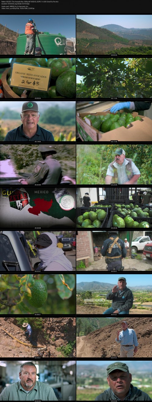 Rotten.S02E01.The.Avocado.War.1080p.NF.WEB-DL.DDP5.1.H.265-ExtraFlix.Pw.jpg