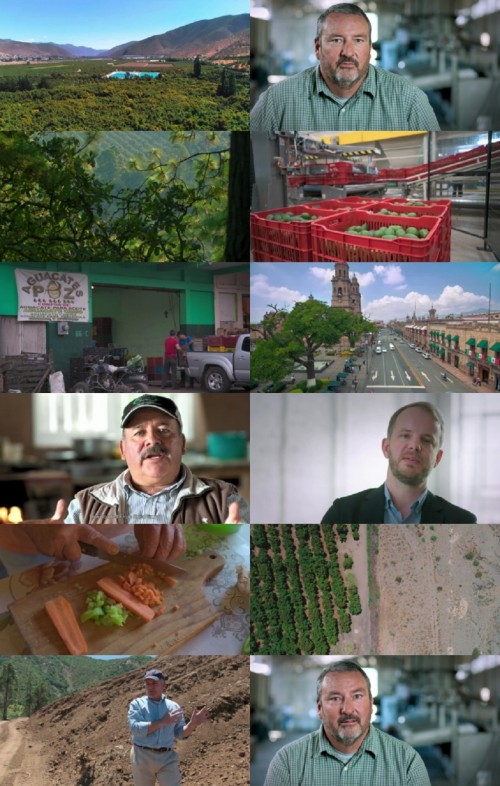 Rotten.s02e01.the.avocado.war.720p.nf.web-dl.ddp2.0.h.264-DownloadHub_s.jpg