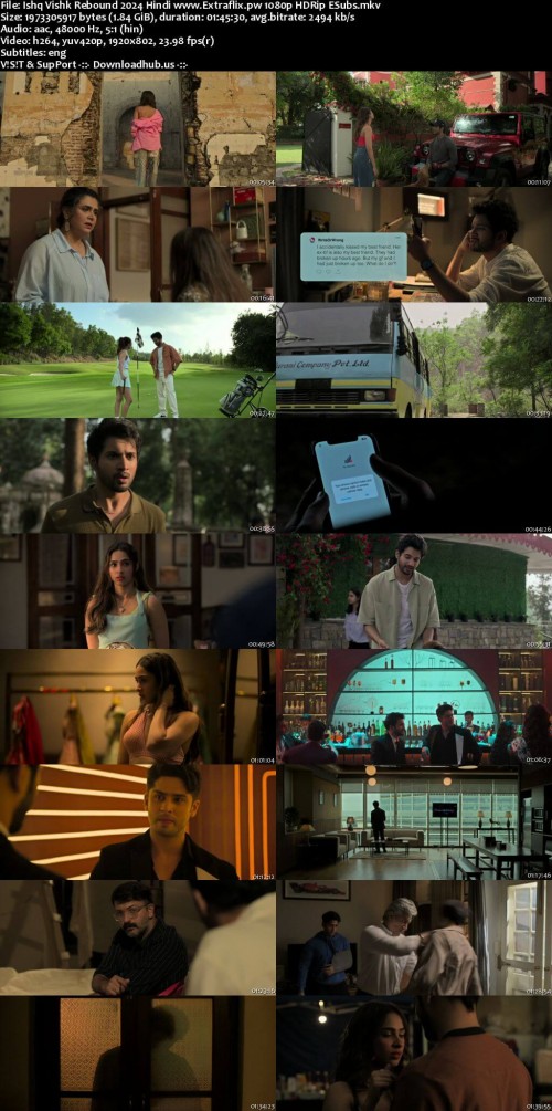 Ishq-Vishk-Rebound-2024-Hindi-www.Extraflix.pw-1080p-HDRip-ESubs_s.jpg