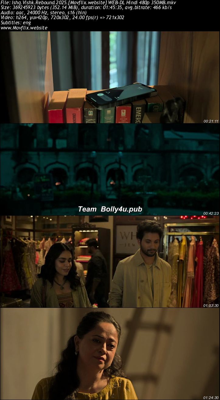 Ishq Vishk Rebound 2025 WEB-DL Hindi ORG Movie 1080p - 720p - 480p