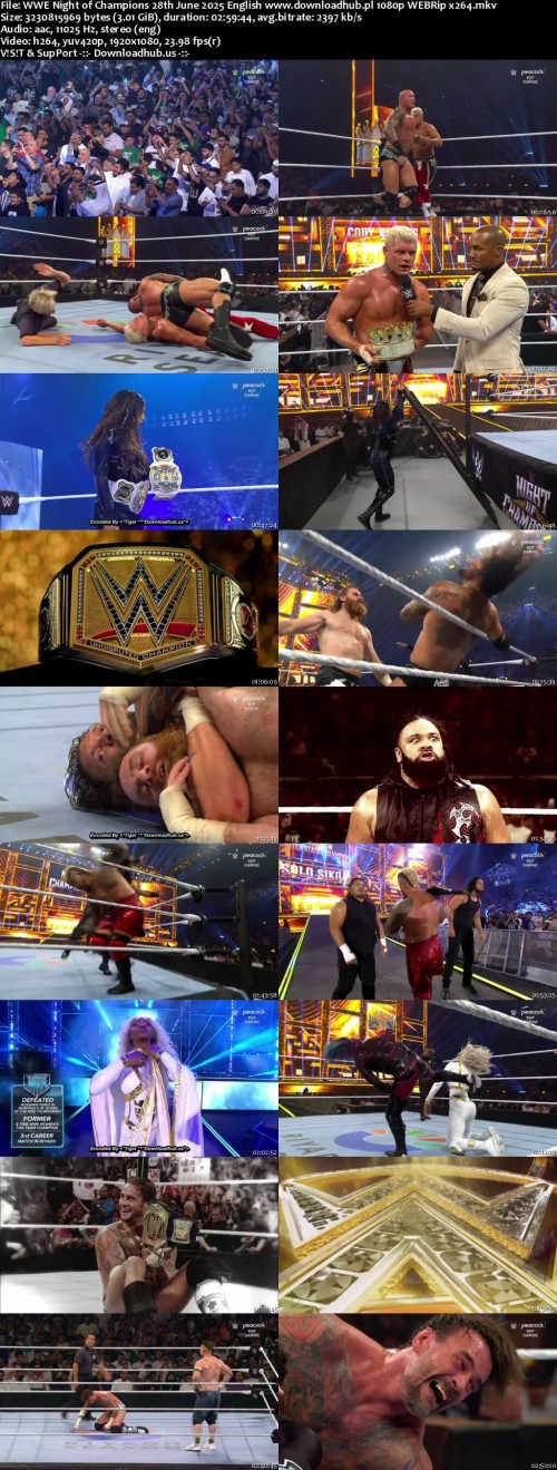 WWE-Night-of-Champions-28th-June-2025-English-www.downloadhub.pl-1080p-WEBRip-x264_s.jpg