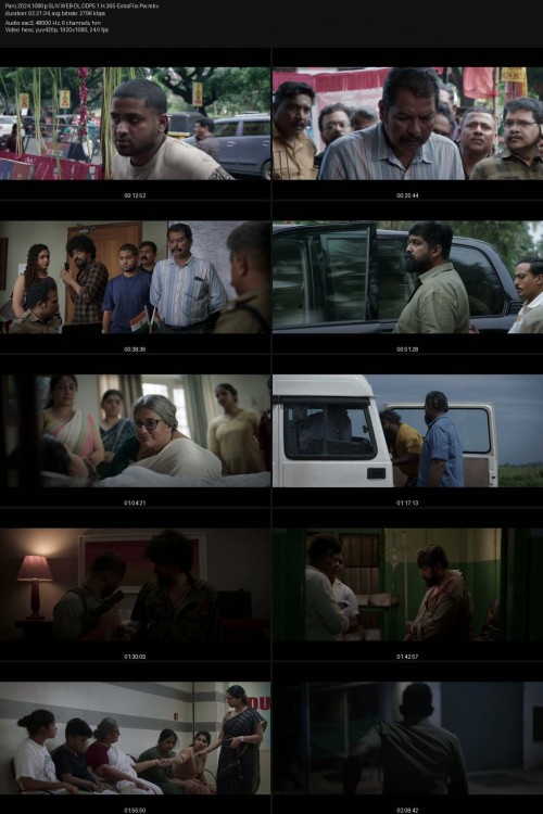Pani.2024.1080p.SLIV.WEB-DL.DDP5.1.H.265-ExtraFlix.Pw.jpg