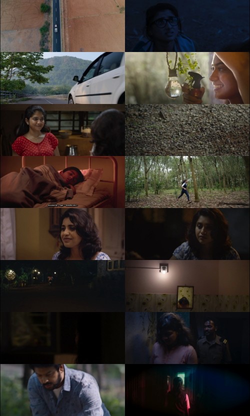 Amala-2023-Hindi-UnCut-Dual-Audio-www.ExtraFlix.pw-1080p-HDRip-ESubs_s3f1c4c966e921c17.jpg