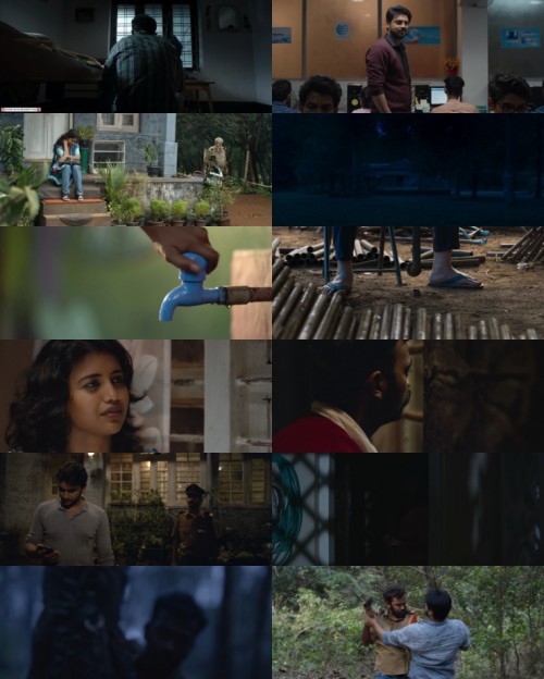 www.FiberMovies.com---Amala.2023.1080p.WEB.HDRip.Hindi.Dual.DD.2.0.x264.ESubs_s.jpg