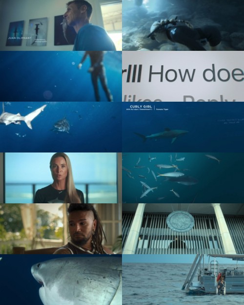 www.FiberMovies.com---Shark.Whisperer.2025.1080p.WEB.HDRip.Hindi.Dual.DD.5.1.x264.MSubs_s.jpg