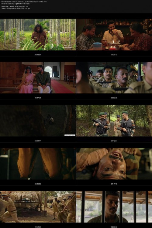 Narivetta.2025.720p.SLIV.WEB-DL.DDP5.1.H.264-ExtraFlix.Pw.jpg