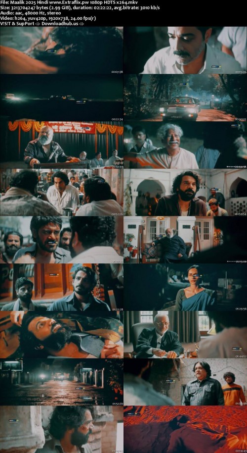 Maalik-2025-Hindi-www.Extraflix.pw-1080p-HDTS-x264_s.jpg